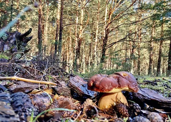 Vakantiehuis Costalago *