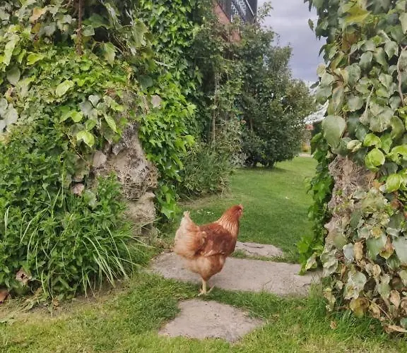 Costalago * Hontoria del Pinar